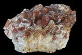 Natural, Red Quartz Crystal Cluster - Morocco #131354-2
